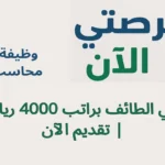 وظيفة محاسب في الطائف براتب 4000 ريال | تقديم الآن