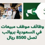 وظائف موظف مبيعات في السعودية برواتب تصل 8500 ريال 3 وظائف موظف مبيعات في السعودية برواتب تصل 8500 ريال