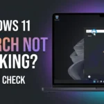 Windows 11 Search Bar Not Working? Here’s What to Check