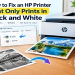 HP Printer Only Printing in Black and White? Fix It